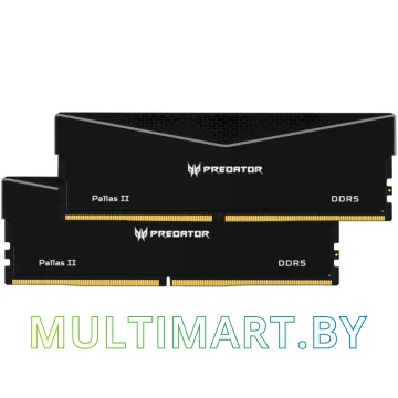 Оперативная память Acer Predator Pallas II 2x32GB DDR5 PC5-51200 (BL.9BWWR.438)
